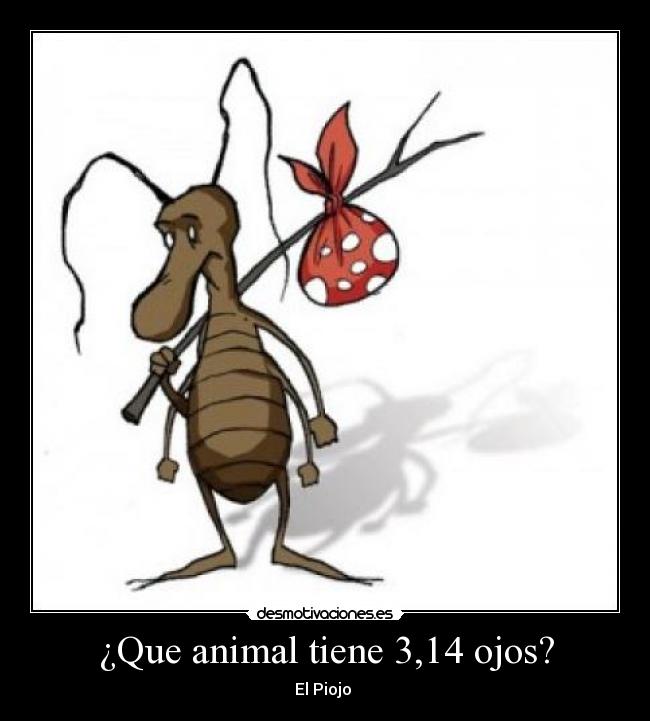 ¿Que animal tiene 3,14 ojos? -