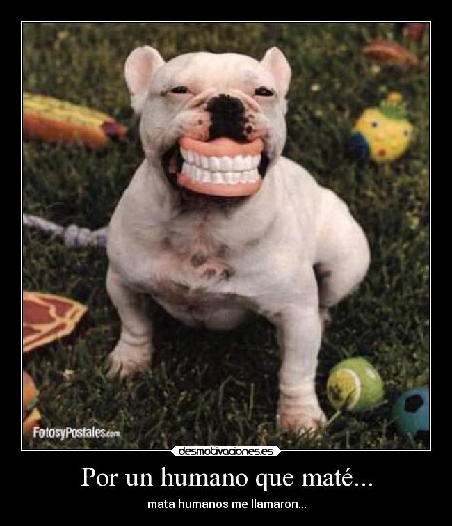 Por un humano que maté... - mata humanos me llamaron...