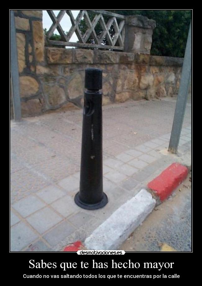 Sabes que te has hecho mayor -