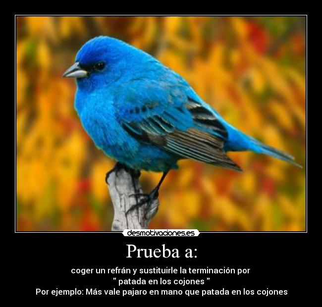 carteles caca desmotivaciones