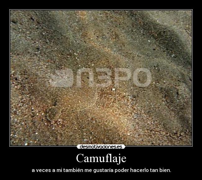 Camuflaje -