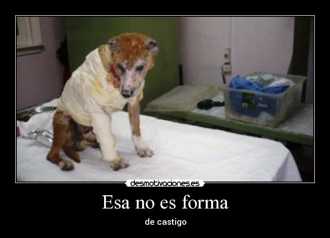 Esa no es forma - 