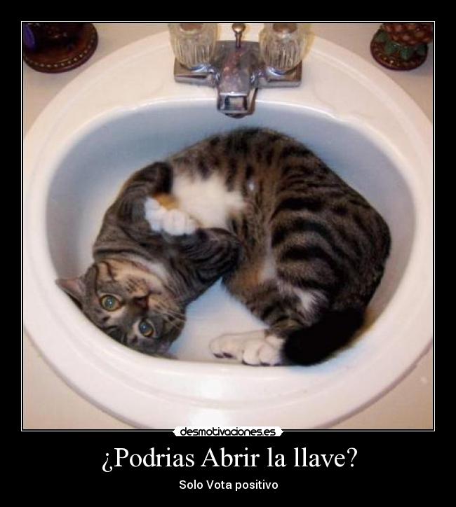 ¿Podrias Abrir la llave? - Solo Vota positivo