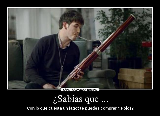 ¿Sabías que ... - Con lo que cuesta un fagot te puedes comprar 4 Polos?