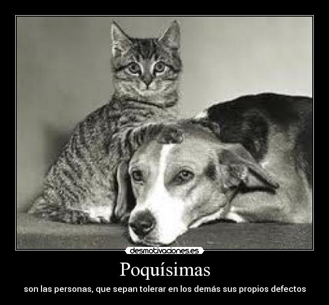 carteles moreenaa desmotivaciones