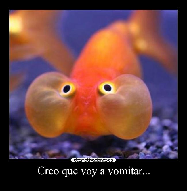 Creo que voy a vomitar... -