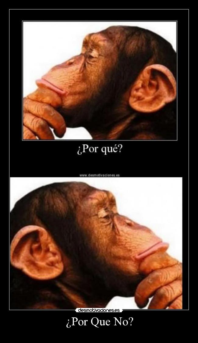 ¿Por Que No? -