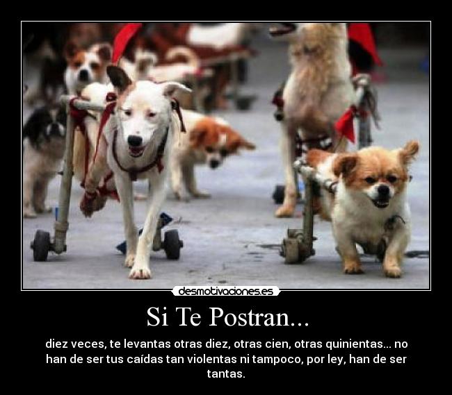 Si Te Postran... -