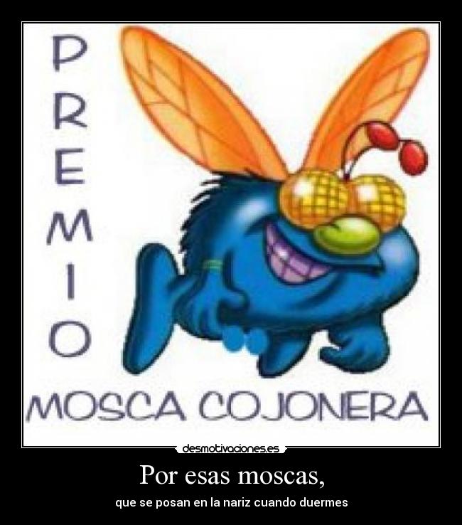 Por esas moscas, - que se posan en la nariz cuando duermes