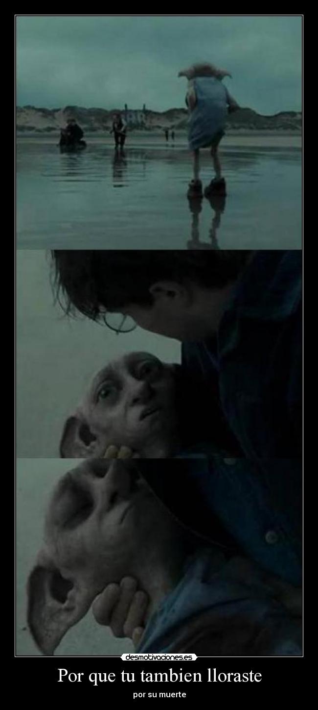 Por que tu tambien lloraste - por su muerte
