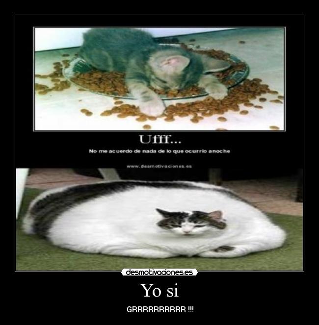 Yo si - GRRRRRRRRRR !!!