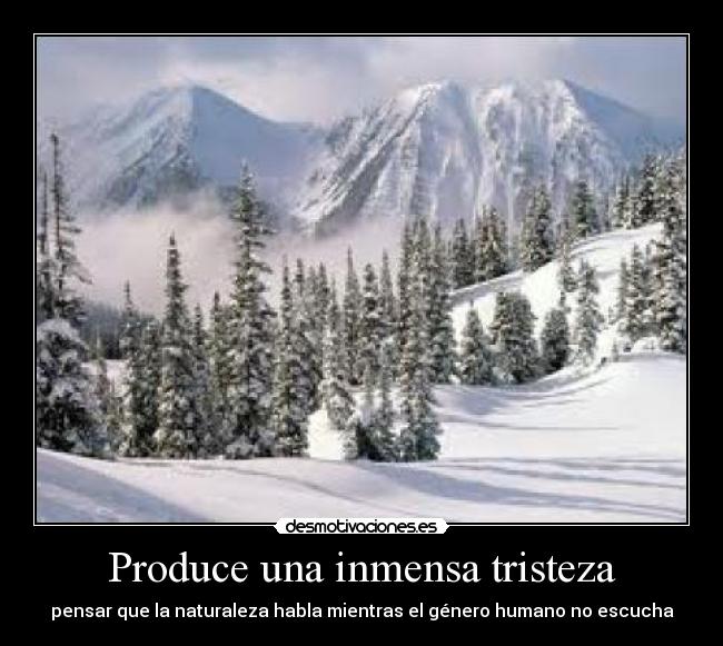 Produce una inmensa tristeza - 