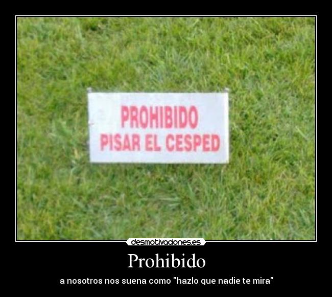 Prohibido - a nosotros nos suena como hazlo que nadie te mira