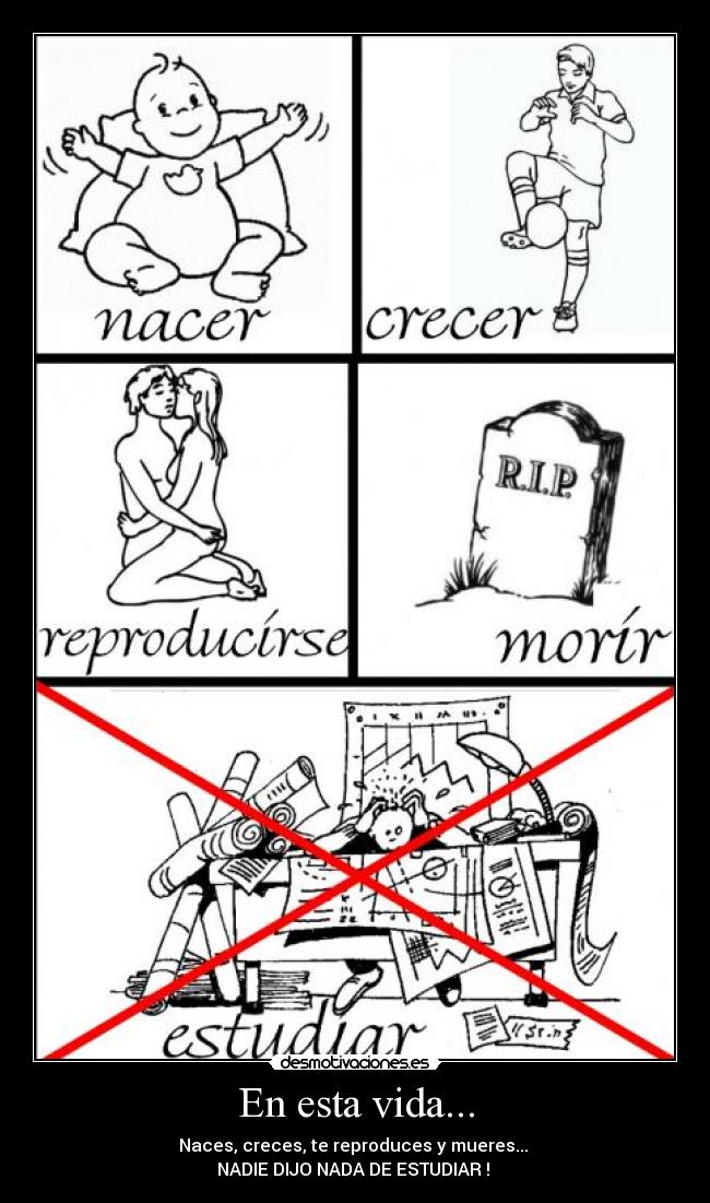 En esta vida... - Naces, creces, te reproduces y mueres...
NADIE DIJO NADA DE ESTUDIAR !