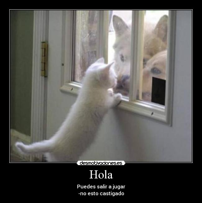 Hola -