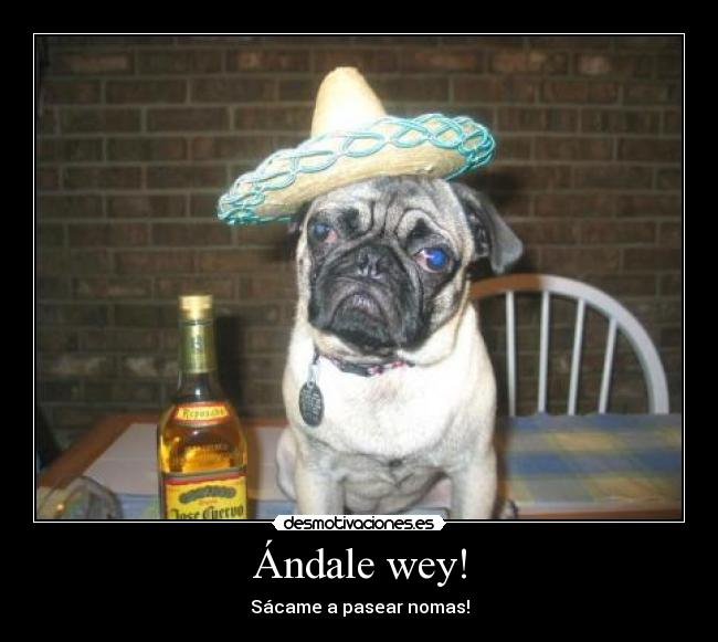 Ándale wey! -