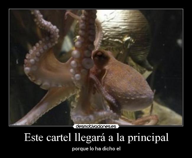 Este cartel llegará a la principal - 