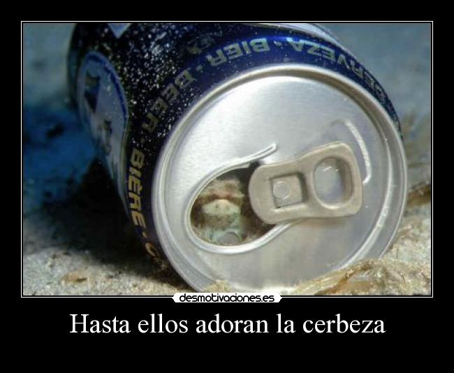 Hasta ellos adoran la cerbeza -