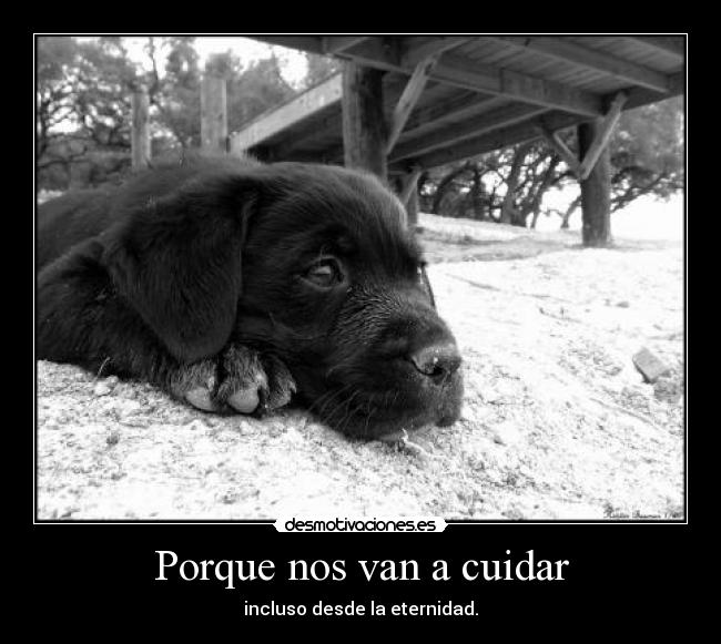 Porque nos van a cuidar - 