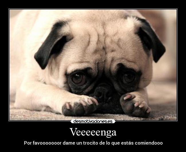 Veeeeenga - Por favooooooor dame un trocito de lo que estás comiendooo