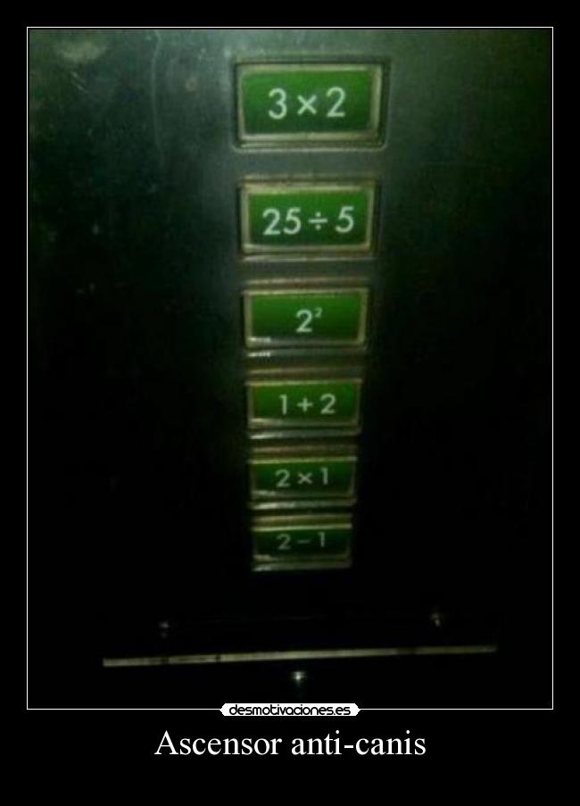 Ascensor anti-canis - 