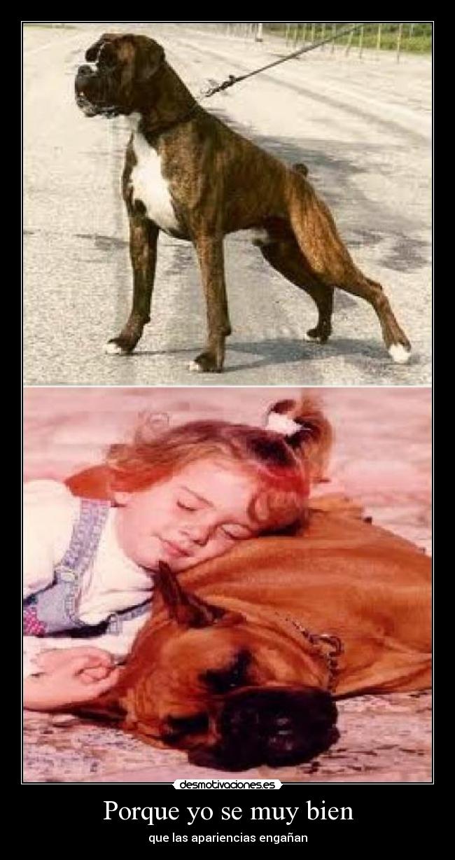 Porque yo se muy bien - que las apariencias engañan