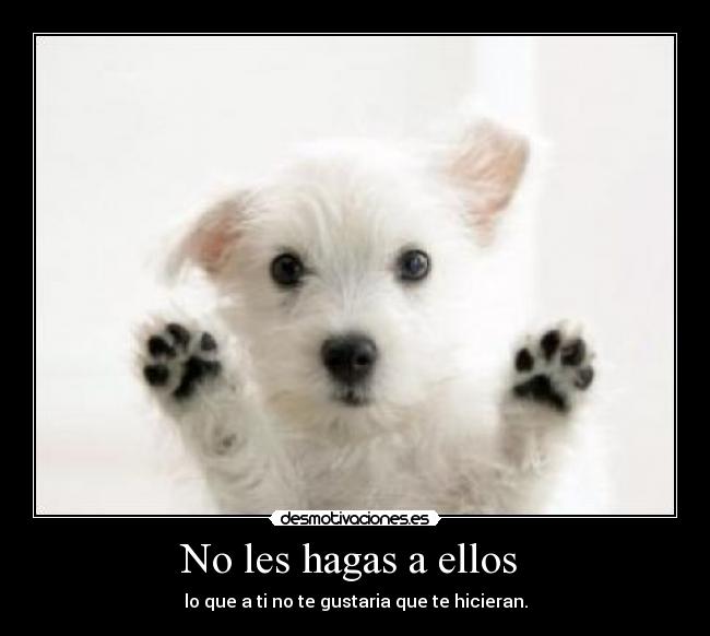 No les hagas a ellos - lo que a ti no te gustaria que te hicieran.