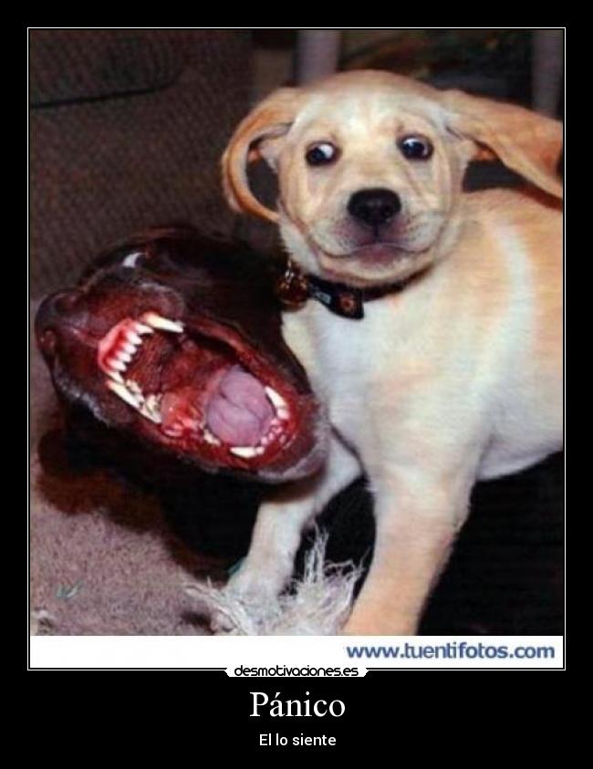 Pánico - El lo siente