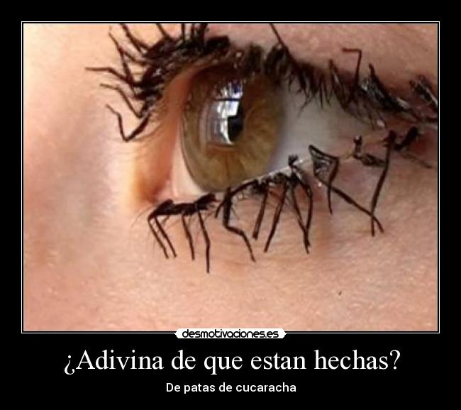 ¿Adivina de que estan hechas? -