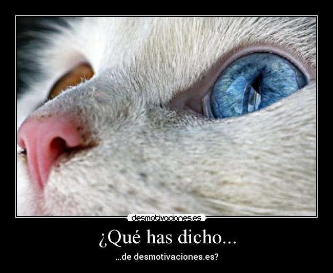 ¿Qué has dicho... - 