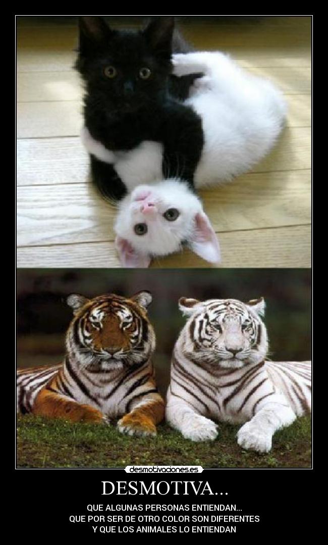 DESMOTIVA... - QUE ALGUNAS PERSONAS ENTIENDAN...
QUE POR SER DE OTRO COLOR SON DIFERENTES
Y QUE LOS ANIMALES LO ENTIENDAN