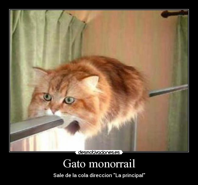 Gato monorrail -