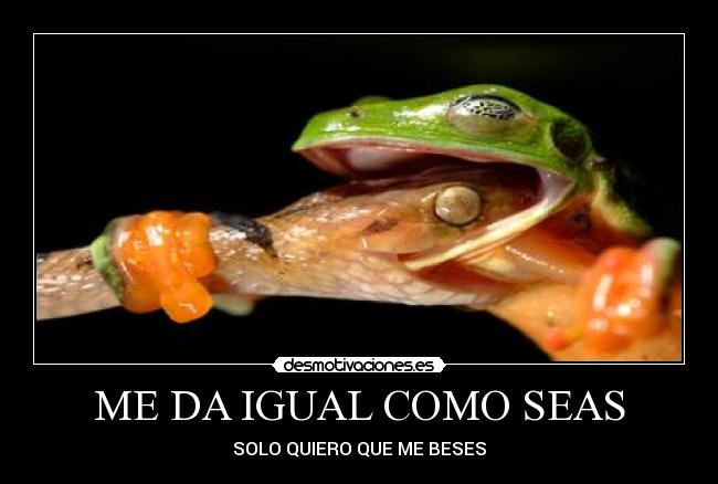 ME DA IGUAL COMO SEAS -