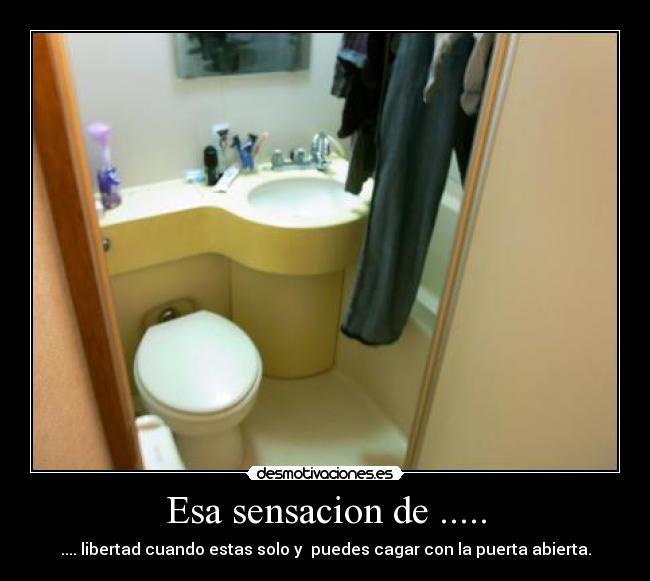 Esa sensacion de ..... - .... libertad cuando estas solo y  puedes cagar con la puerta abierta.