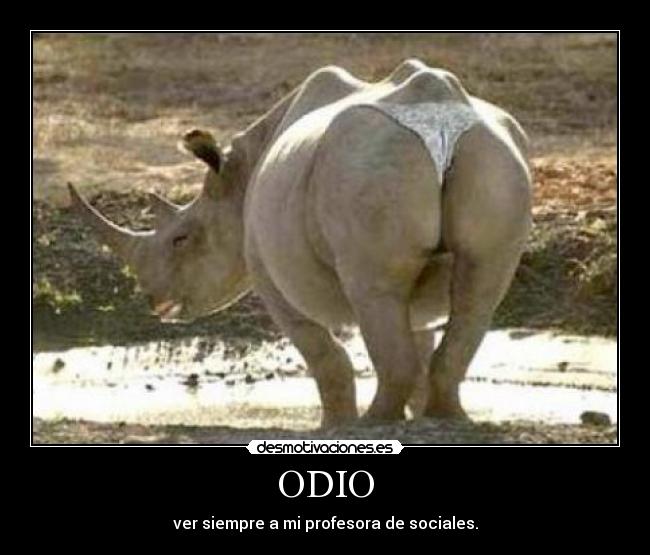 ODIO - ver siempre a mi profesora de sociales.