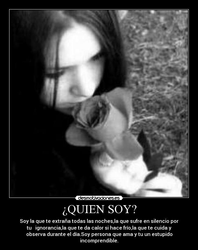 carteles lascosascomoson desmotivaciones