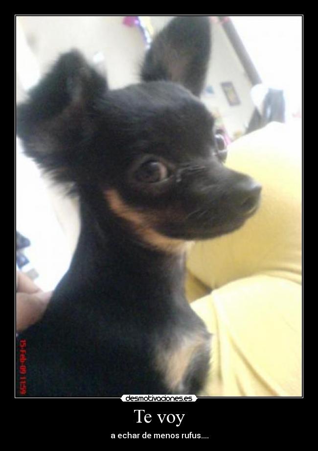 carteles rufus desmotivaciones