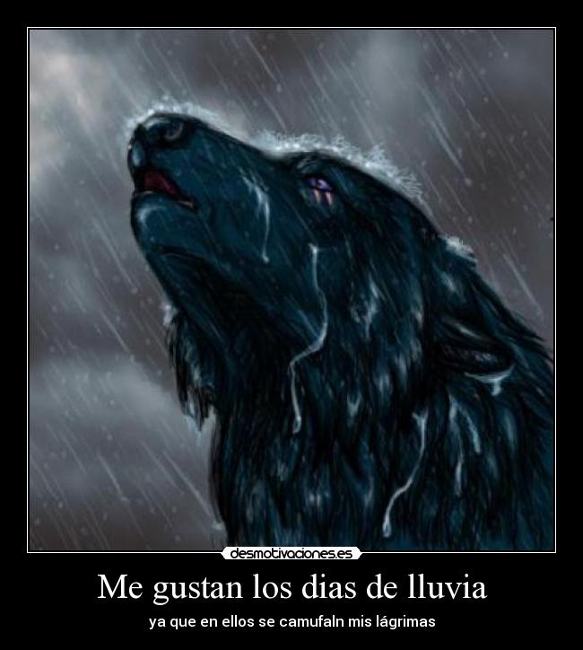 Me gustan los dias de lluvia - ya que en ellos se camufaln mis lágrimas