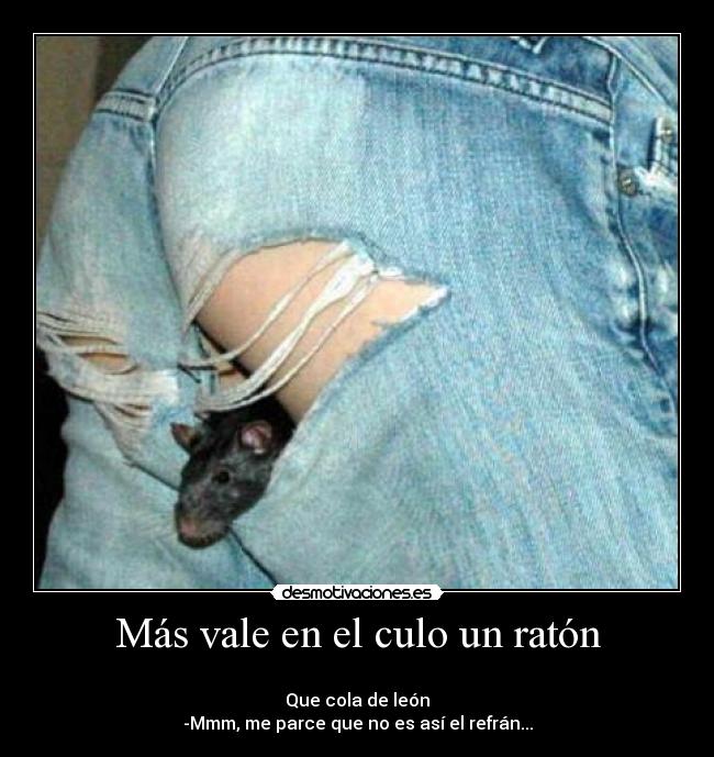 carteles raton desmotivaciones