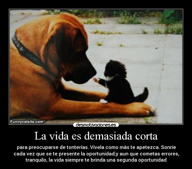 La vida es demasiada corta - para preocuparse de tonterías. Vívela como más te apetezca. Sonríe
cada vez que se te presente la oportunidad;y aun que cometas errores,
tranquilo, la vida siempre te brinda una segunda oportunidad