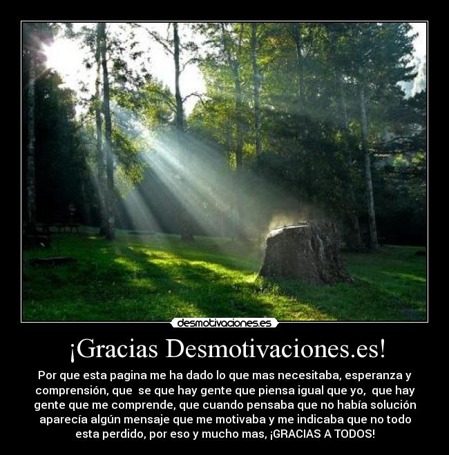 ¡Gracias Desmotivaciones.es! - 