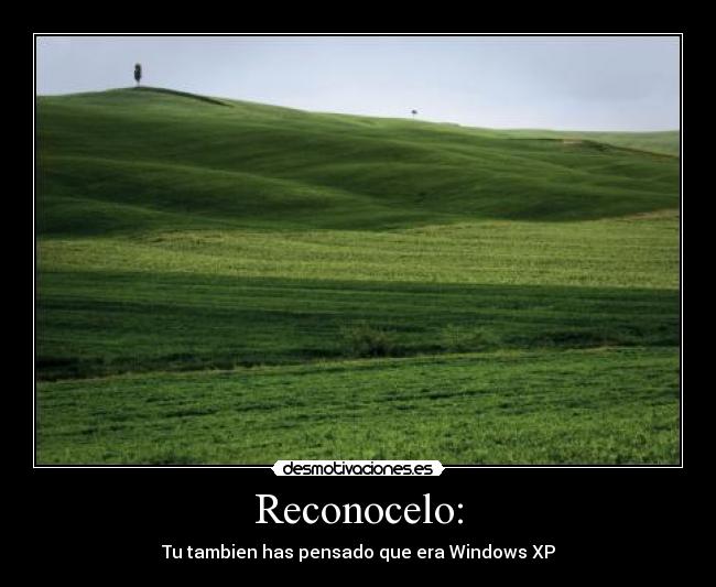 Reconocelo: -