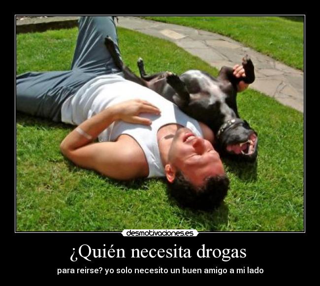 ¿Quién necesita drogas -