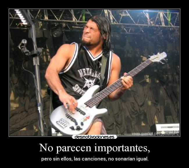 No parecen importantes, - pero sin ellos, las canciones, no sonarían igual.