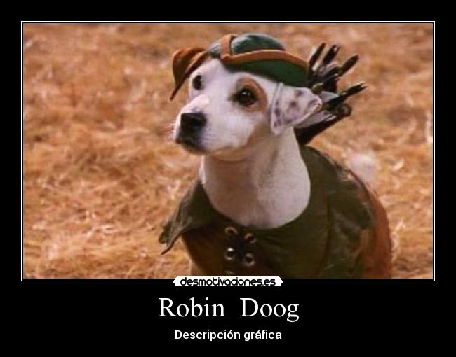Robin  Doog - 