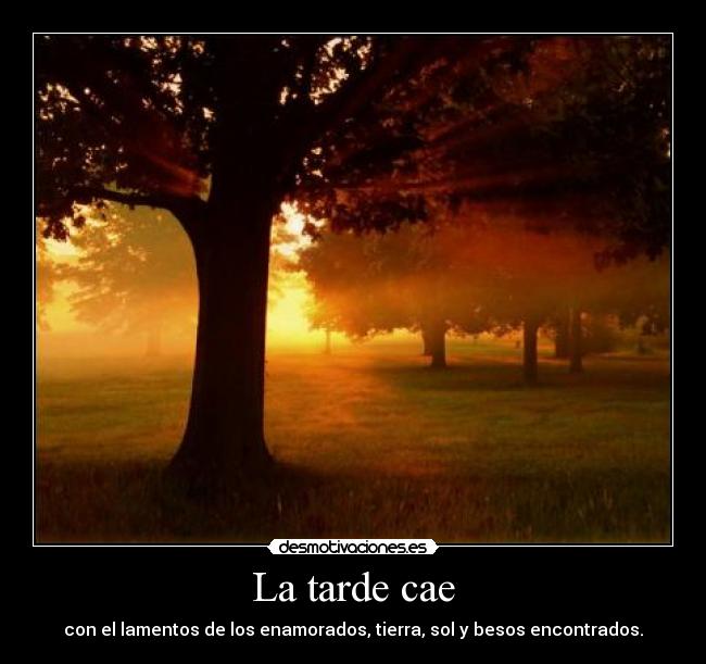 carteles poemaamor desmotivaciones