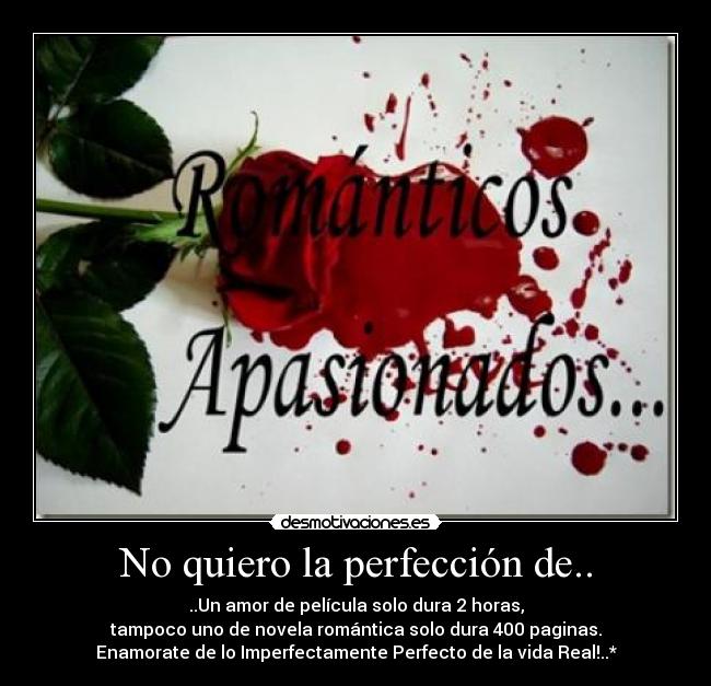 No quiero la perfección de.. - 