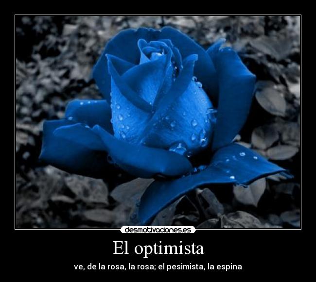 El optimista -