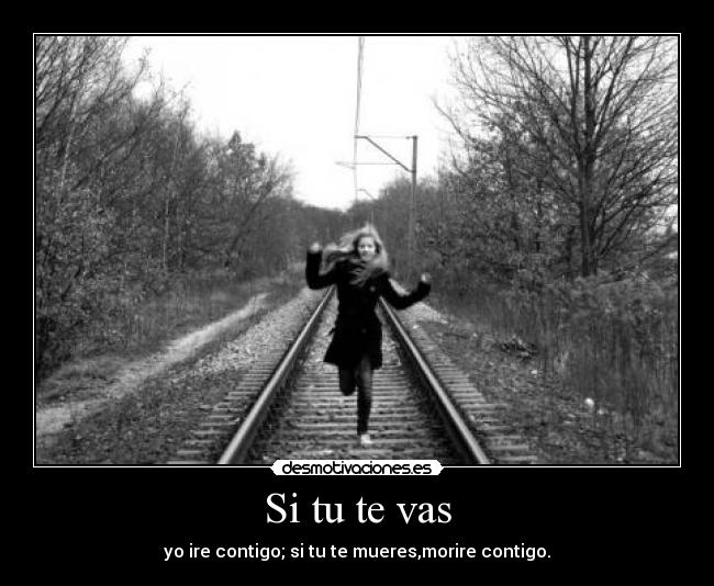 Si tu te vas - yo ire contigo; si tu te mueres,morire contigo.