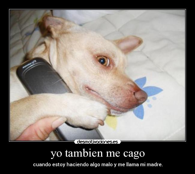 yo tambien me cago - 